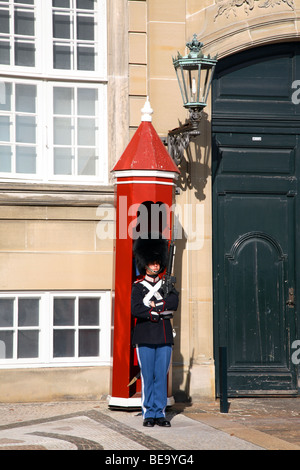 Sentry avec bearskin du Royal Life Guards devant sa guérite au Palais d'Amalienborg à Copenhague. Banque D'Images