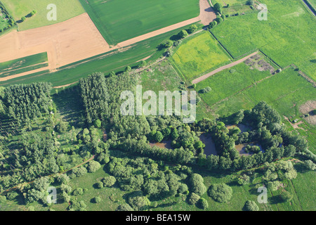 Zone agricole avec des champs, des prairies boisées et de haies de l'air, Belgique Banque D'Images