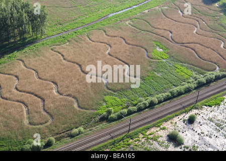 Les zones humides et reedland à partir de l'air, la réserve naturelle Demerbroeken, Belgique Banque D'Images