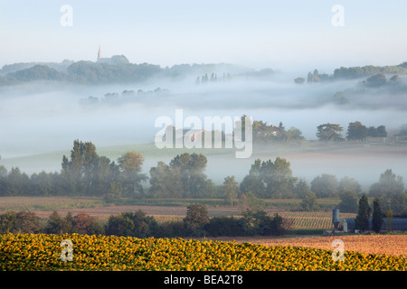 Lever du soleil et brumeux matin dans la vallée du Lot campagne près de Castelmoron, Aquitaine, France, Europe Banque D'Images