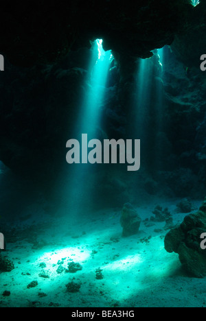 Flux de rayons de lumière à l'intérieur d'une grotte sous-marine, Mer Rouge Banque D'Images