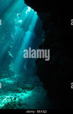 Flux de rayons de lumière à l'intérieur d'une grotte sous-marine, Mer Rouge Banque D'Images