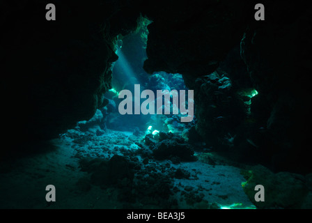 Flux de rayons de lumière à l'intérieur d'une grotte sous-marine, Mer Rouge Banque D'Images