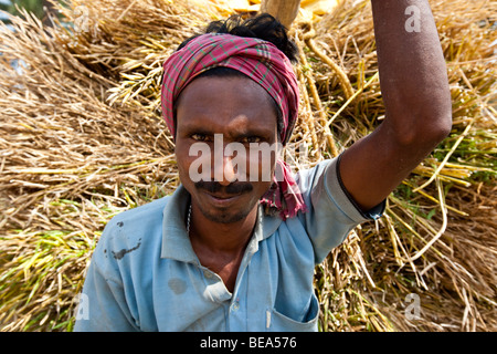 Agriculteur transportant du grain à Pandua dans les régions rurales de l'État du Bengale occidental en Inde Banque D'Images