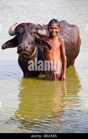 L'eau de lavage garçon près de Buffalo dans l'État du Bengale-Occidental en Inde Malda Banque D'Images