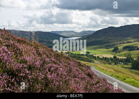 dh GLEN QUAICH PERTHSHIRE Scottish Purple heather route menant Dans la vallée de Glen Quaich ecosse royaume-uni les hautes terres de vue pays de montagne Banque D'Images