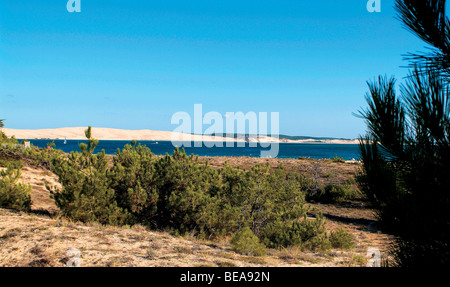 Arcachon (33) : 'Cap Ferret cap' Banque D'Images