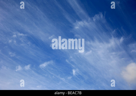 Des nuages cirrus Uncinus dans Deep blue sky polarisée Banque D'Images