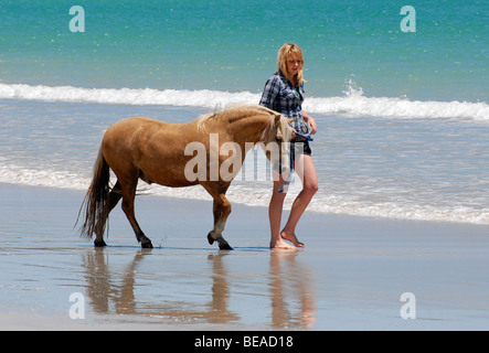 Femme promener son poney sur la plage, Robe, Australie du Sud Banque D'Images