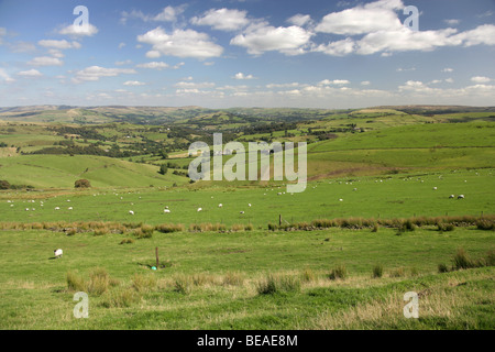 Cheshire est vue depuis près de Sponds rural Hill sur le sentier de pierre meulière, à l'Est, vers Kettleshulme et Whaley Bridge. Banque D'Images