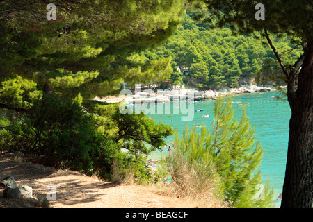 Sentier étroit,sur le haut de la falaise, menant le long de Dole camping en Croatie, Croatie Banque D'Images