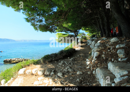 Sentier étroit,sur le haut de la falaise, menant le long de Dole camping en Croatie, Croatie Banque D'Images