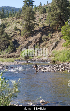 La pêche de la truite sur la rivière Carson Markleeville Banque D'Images