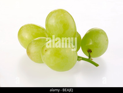 Raisin vert sur blanc Banque D'Images