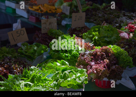 Marché Jean-Talon (mars Jean-Talon) à Montréal Canada Banque D'Images