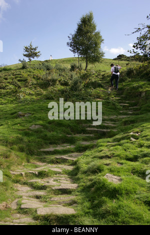 Le Cheshire est Sentier chemin menant à partir de la pierre meulière à l'Bollington Nancy White, avec une dame walker au premier plan. Banque D'Images