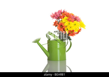 Arrosoir vert avec fleurs isolated on white Banque D'Images