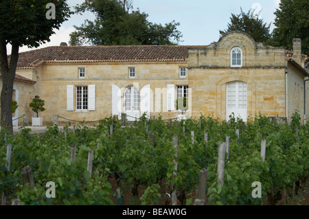 Château trottevieille saint emilion bordeaux france Banque D'Images