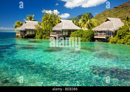 Bungalows sur pilotis avec des marches en incroyable green lagoon Banque D'Images