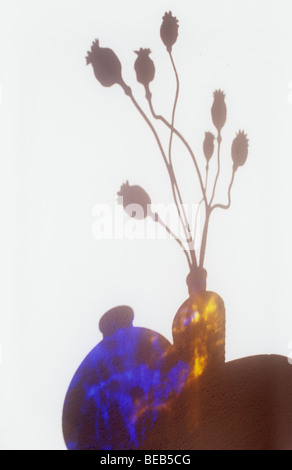 Ombre sur mur blanc de table circulaire avec des réflexions à partir de la vase en verre bleu et marron avec bouteille coquelicots séchés Banque D'Images