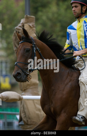 Course de chevaux Palio di Asti Piémont Italie festival Banque D'Images