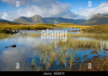 Les piscines rocheuses et de Lochans Blackmount sur Rannoch Moor Ecosse 5337 SCO Banque D'Images