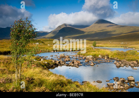 Les piscines rocheuses et de Lochans Blackmount sur Rannoch Moor Ecosse 5340 SCO Banque D'Images