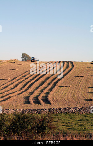 La mise en balles de foin Sheldon Derbyshire en Angleterre au début de l'automne Banque D'Images