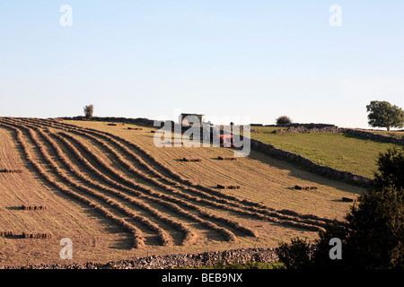 La mise en balles de foin Sheldon Derbyshire en Angleterre au début de l'automne Banque D'Images