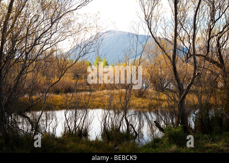 De superbes paysages naturels près de Glenorchy, Nouvelle-Zélande Banque D'Images