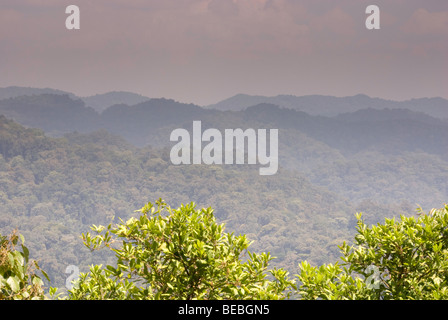 Vue sur la forêt impénétrable de Bwindi, en Ouganda Banque D'Images