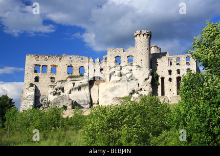 Château d'Ogrodzieniec, Pologne. Banque D'Images