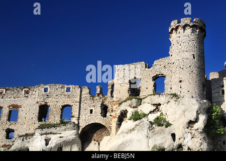 Château d'Ogrodzieniec, Pologne. Banque D'Images