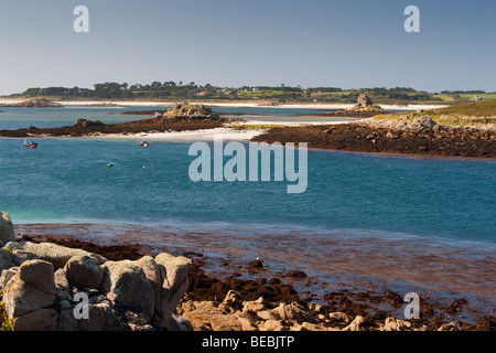 Vue depuis St Martin vers le jardins de l'abbaye sur Treso, Isles of Scilly Banque D'Images