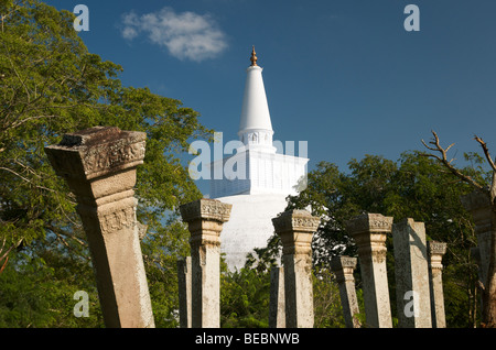 Ruvanvalisaya Dagoba et ruines Anuradhapura, Sri Lanka Banque D'Images