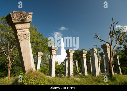 Ruvanvalisaya Dagoba et ruines Anuradhapura, Sri Lanka Banque D'Images