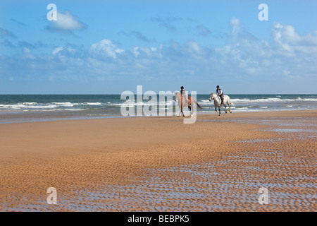 Holkham Beach Norfolk l'équitation sur le sable Banque D'Images