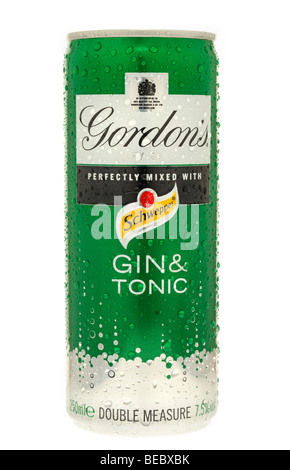 Pouvez des Gordons Gin & Tonic Banque D'Images