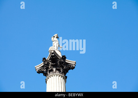 La colonne Nelson, Trafalgar Square, Londres Banque D'Images