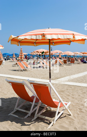 Transats sur la plage de Viareggio, Riviera toscane, Toscane, Italie Banque D'Images