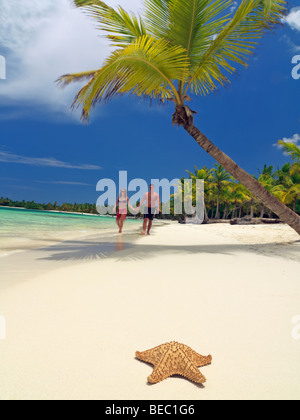 République dominicaine, Punta Cana, Bavaro Beach,couple en train de marcher sur la plage bordée de palmiers Banque D'Images