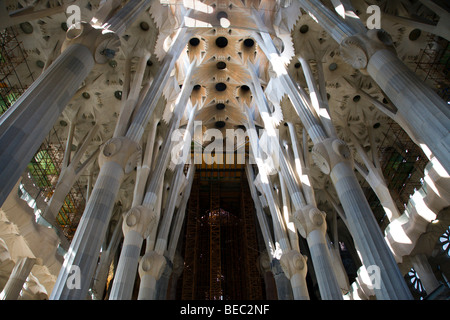 Vue de l'intérieur de la Sagrada Família de Barcelone Banque D'Images