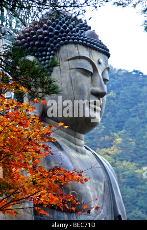 Statue de Bouddha à Shinheungsa temple bouddhiste, le Parc National de Seoraksan, Corée du Sud Banque D'Images