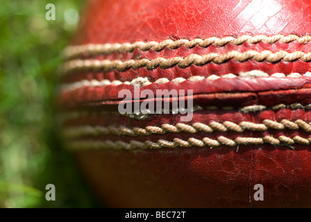 Close up de la nervure d'une balle de cricket ou Duc (Cherry) dans l'herbe,contre, balle, bol, cricket, anglais, isolées, vieux, vo Banque D'Images