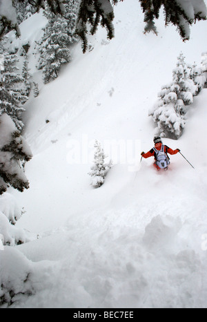 Skieur dans sentiers de forêt, un jour de poudreuse, Chamonix, France Banque D'Images