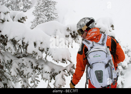 Contrôle de skieur sa ligne à sentiers en forêt, un jour de poudreuse, Chamonix, France Banque D'Images