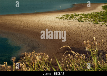 Plage avec dry cracked earth Banque D'Images