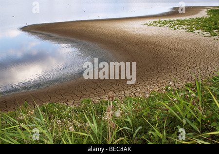 Plage avec dry cracked earth Banque D'Images