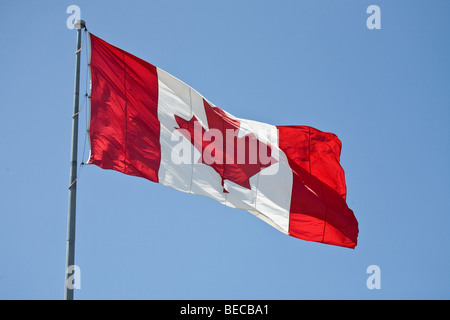Un grand drapeau canadien dans le vent contre un ciel bleu Banque D'Images