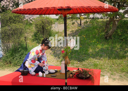 Jeune japonaise démontrant la cérémonie du thé au cours de la Cherry Blossom Festival à la rivière Kamo à Kyoto, Japon, Moyen-Orient Banque D'Images